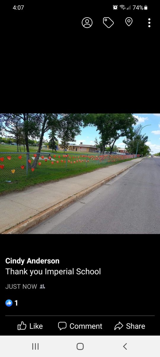 Cindy Anderson tweet media