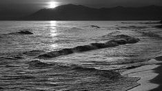 Semra Sevimli tweet media