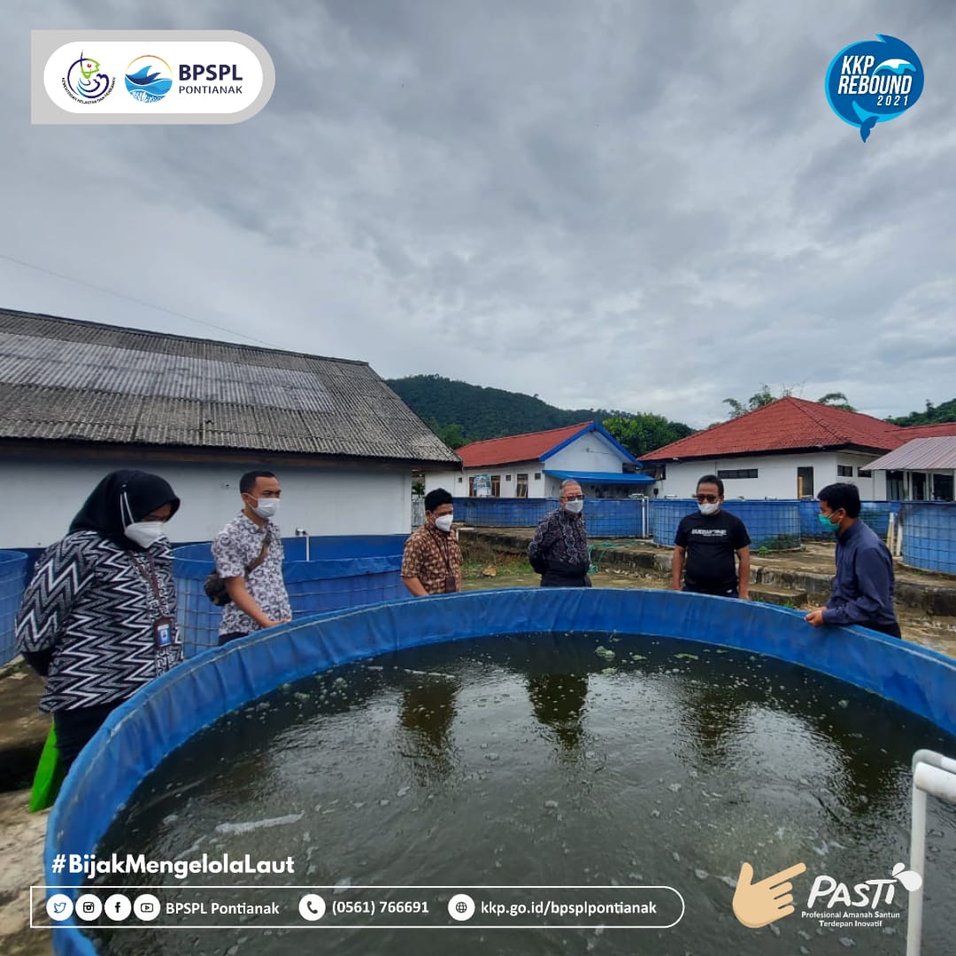 bpkpontianak's tweet photo. antara BPSPL, BPBAT dan BKIPM dalam rangka perlindungan dan pemanfaatan jenis ikan belida di Provinsi Kalimantan Selatan
#KKP #KKPREBOUND #DJPRL #BijakMengelolaLaut #Belida #MenteriKKP #MenteriKelautandanPerikanan #MenteriTrenggono #SaktiWahyuTrenggono https://t.co/QS7O13vZ26