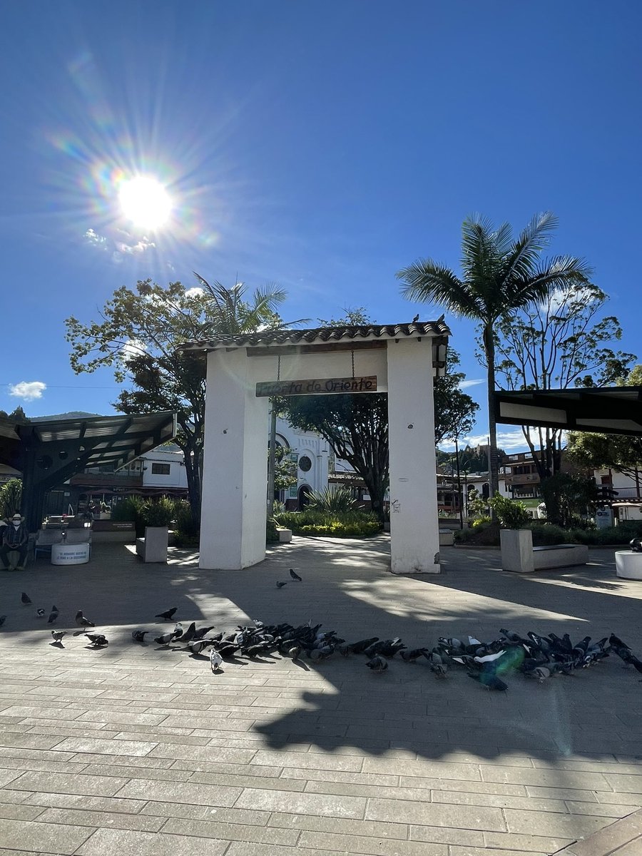e_guarne's tweet photo. Iniciar la semana con propósitos claros. ✅

🤗Uno de ellos puede ser el siguiente: 

"No arrojaré basuras al suelo y las depositare siempre en los contenedores, canastillas o lugares a los que corresponda esa basura”.
.
#CreciendoJuntos https://t.co/otNB9Eub2B
