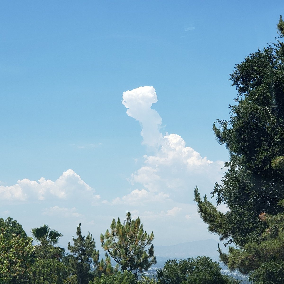 VCTV Insight tweet media