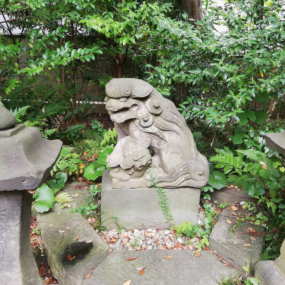 箕島さん イラスト練習 なぞり絵 Day15 画材を変えてみたけど うん 武蔵新田の新田神社の唸る狛犬 さん なかなかなぞっても目指す雰囲気作れないものなのね 上手くならないなあ 簡単には