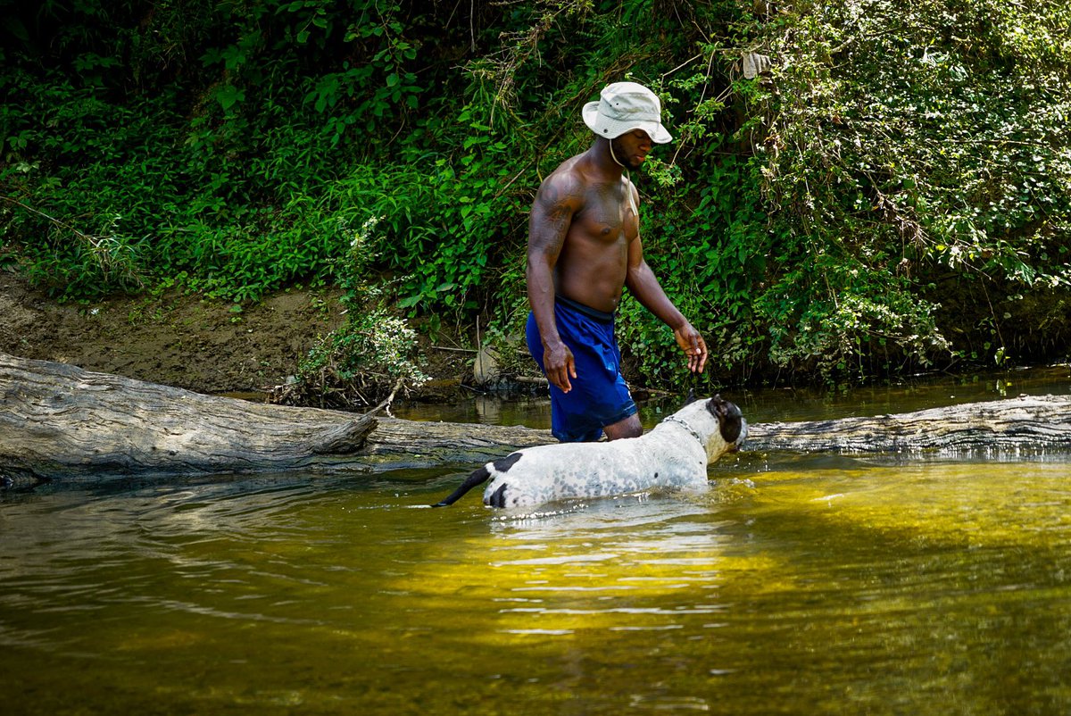 longliveturtle2's tweet photo. I’m A Chameleon🦎 Throw me Anywhere And Watch Me Adapt
#bully #bullybreed #bullypuppies #bullyinstagram #bullypedex #bullyofinstagram #bullywebtv #bullybreedsofinsta #bullypedia #animal #animalkingdom #animallovers #animalcrossing #animalphotography #animalplanet https://t.co/UssSFSAuTp