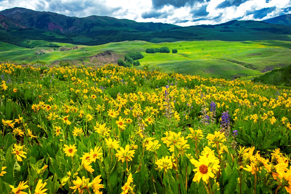 Mike Nelson tweet media