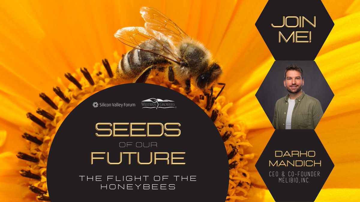 MeliBioInc's tweet image. On Aug 18th @MeliBioInc will be presenting at @SVForum&apos;s #agtech conference to share the #beetech we&apos;re deploying!Several industry players from around the 🌏 will be there to discuss the&quot;🐝&apos;s&quot; role in crop pollination &amp;amp; their importance to our food supply! bit.ly/3fHYDmr