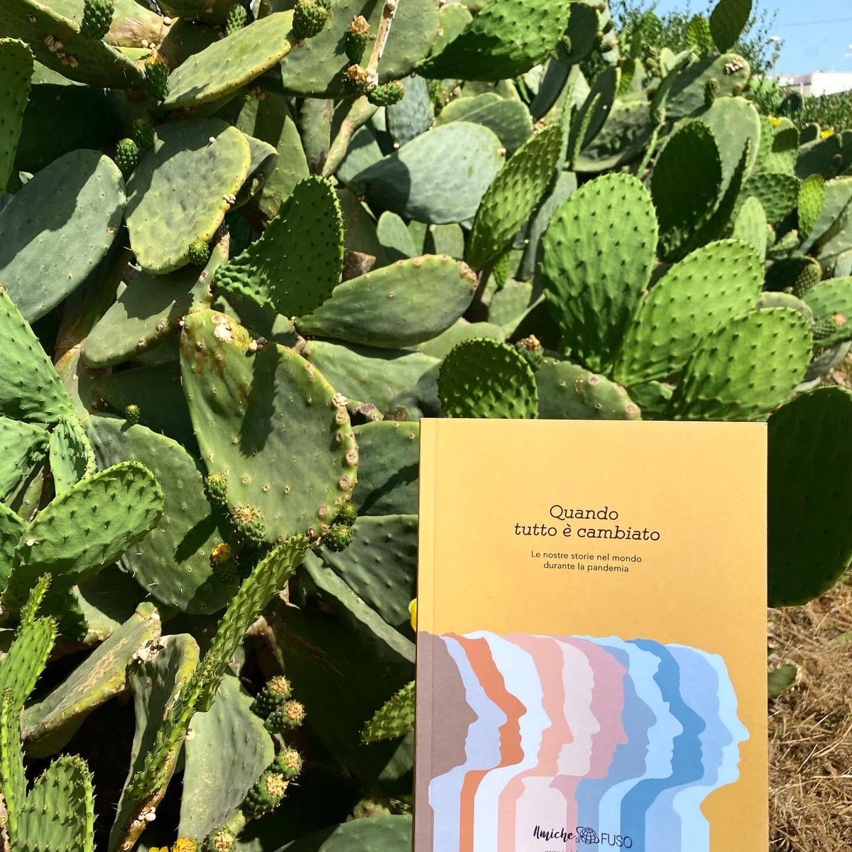 Con grande emozione vi presentiamo il nostro libro: Quando tutto è cambiato.

Le nostre vite all’estero stravolte dalla pandemia. Ci è successo di tutto. E qui abbiamo lasciato “la descrizione di un attimo”. 

amazon.it/dp/B097QBKLS7/…