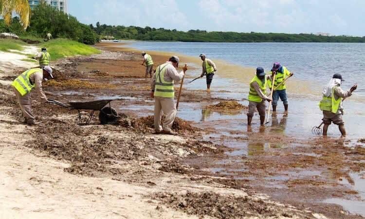 #TurismoSostenible El mercado de productos y servicios para la reactivación de la economía local e internacional. #PIB <a href="/VICTOR_JOANDC/">incognito24K</a> #IndiceDeDesarrollo  <a href="/IngridPuc/">Geraldynn *-*</a> <a href="/sq_andrea21/">sq_andrea</a> <a href="/mapachestec/">@MAPACHESTec</a> <a href="/David_RS500/">David Rodríguez de los Santos</a> .lavanguardianoticias.com/2021/06/23/mer…
