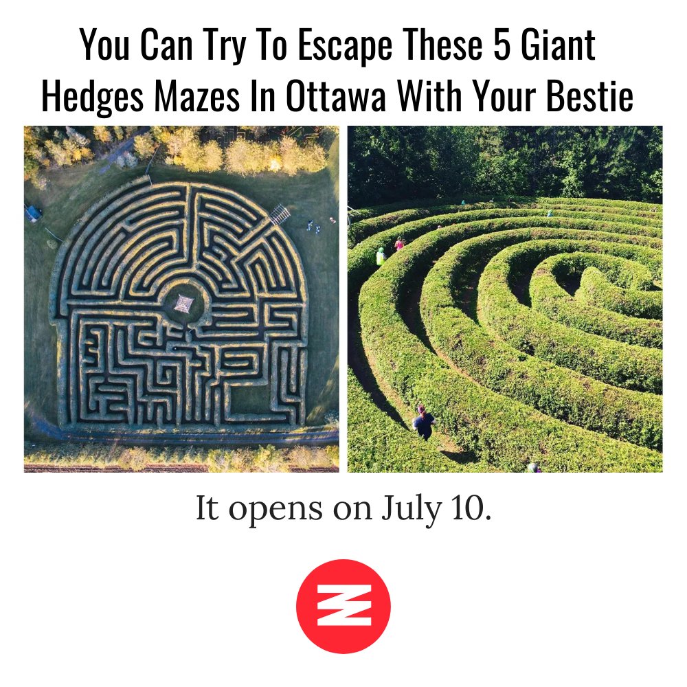 You Can Try To Escape These 5 Giant Hedges Mazes In Ottawa With Your Bestie

Full Article Here! 👉 nar.city/s9p

#NarcityCanada
#CanadaNews
#Canada