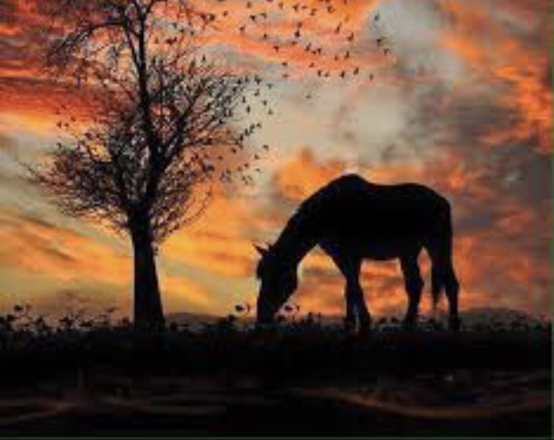 KolisArt's tweet photo. To find the universal elements enough; to find the air and the water exhilarating; to be refreshed by an evening saunter... to be thrilled by the stars at night; to be elated over a wildflower in spring - these are some of the rewards of the simple #life. #kolisart #Motivation https://t.co/8BTindw1oR