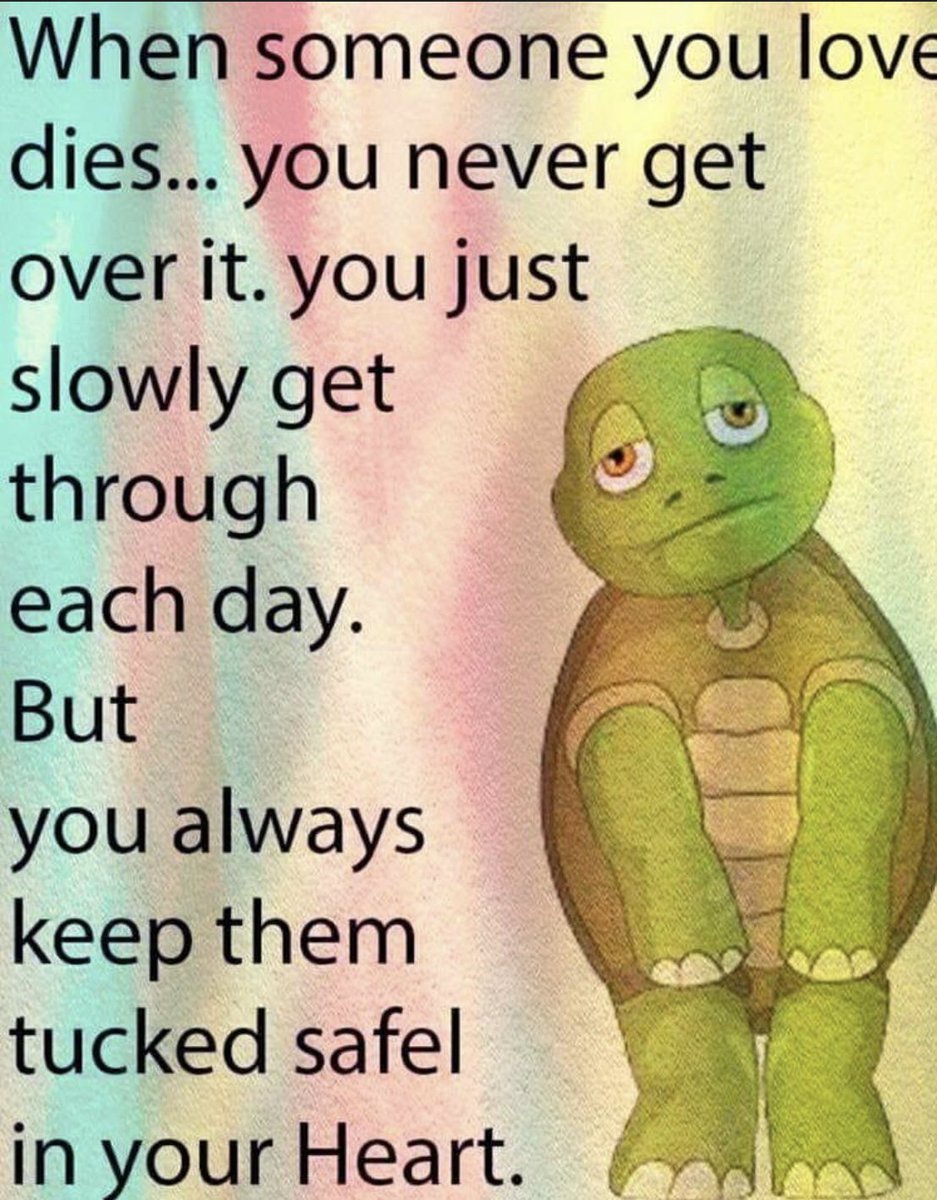 jeffmendes94's tweet photo. Dang…. If this isn’t the truest thing I’ve ever seen. https://t.co/RZGdx4FNpz