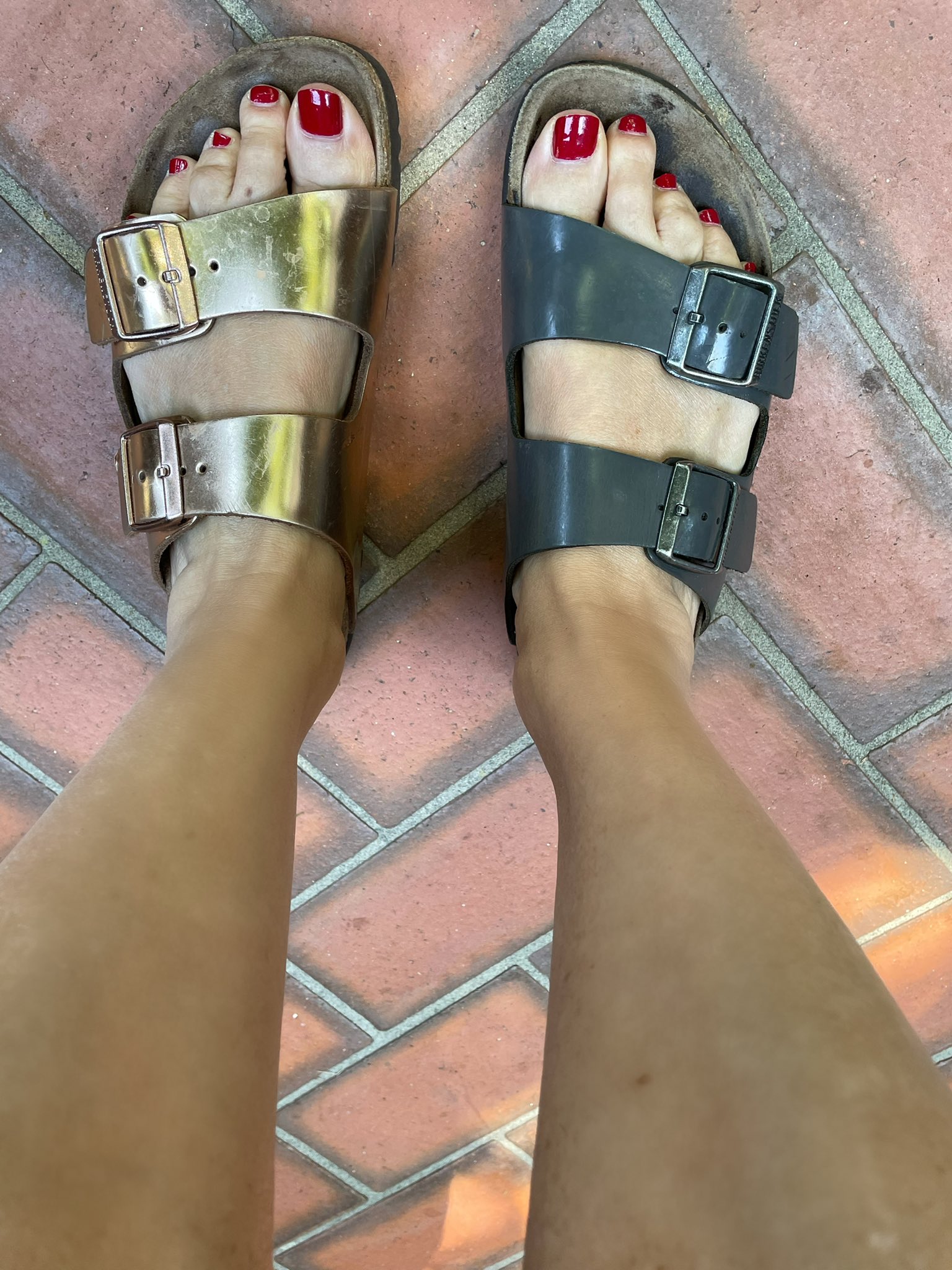 Joyce Hyser Robinson on Twitter: "Distracted much?? 🤦🏻‍♀️ https://t.co/8qn0bxugWr" / Twitter