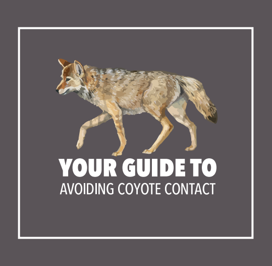 MyGlendale's tweet photo. Help keep your neighbors informed and safe! Report wildlife sightings using the #MyGlendale mapping tool at https://t.co/ctW3dM2Lep. Learn more about how to avoid coyote contact at https://t.co/PnyQGFLUDF @GlendalePD https://t.co/84V3RGq307