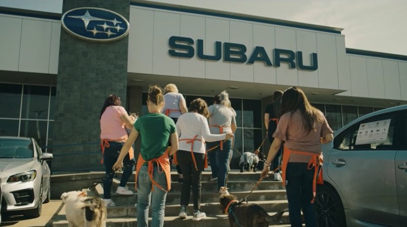 Subaru. We’ll put down your dogs