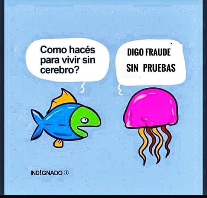claudiaverp's tweet photo. Jajajajajaja pobres las medusas https://t.co/FBXrOQaOly