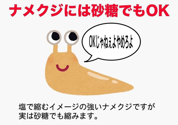 砂糖に塩化カリウムなどナメクジは塩以外でもok 砂糖に蟻がよってきて惨そう Togetter