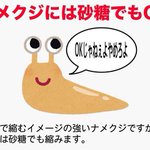 ナメクジ退治は塩だけではない、砂糖も効き目がある!