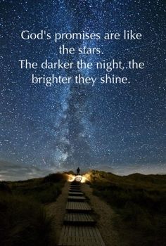 Todd Trotter tweet media