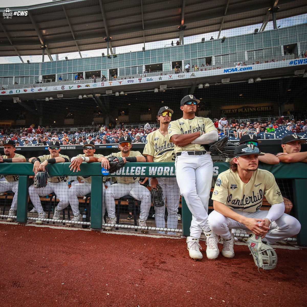 NCAA Baseball tweet media