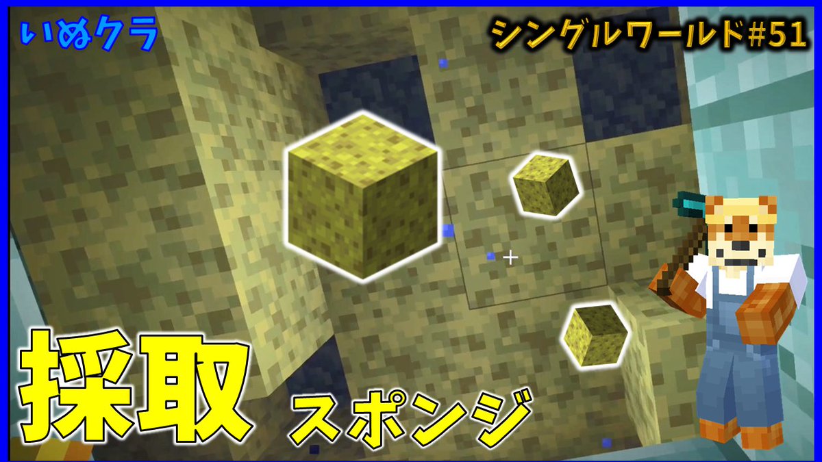 いぬ君 理系マインクラフター V Twitter スポンジ採取 いぬクラシングル T Co Yamezzlocy 採取していなかったスポンジを取りに行きました スポンジ回収の帰りに仲間がまた増えました Minecraft マイクラ マインクラフト