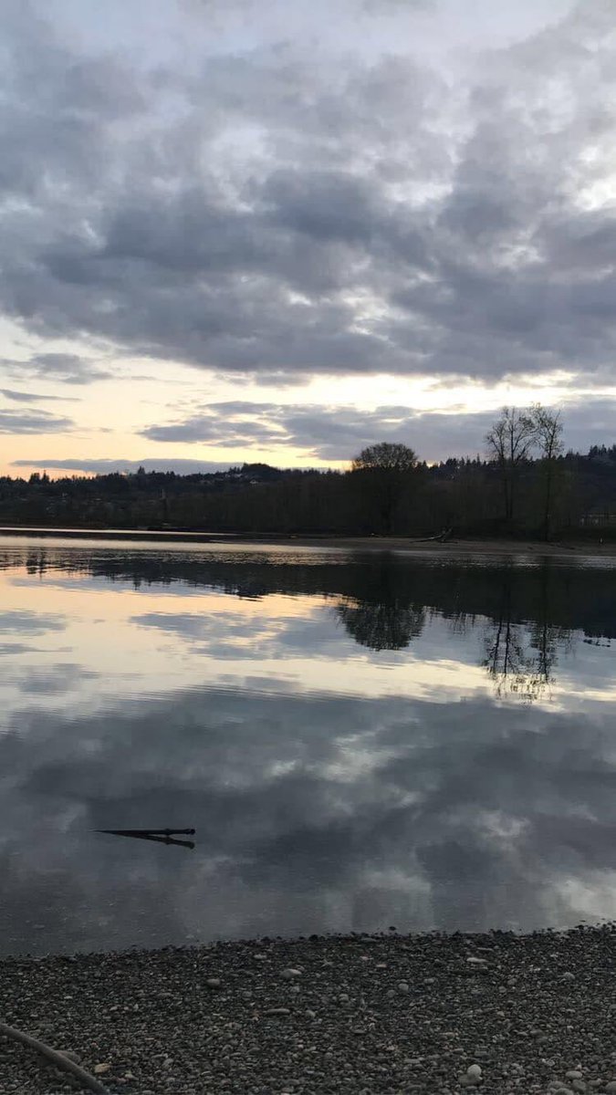 Michelle Ann Mason (@masonamichellle) on Twitter photo 