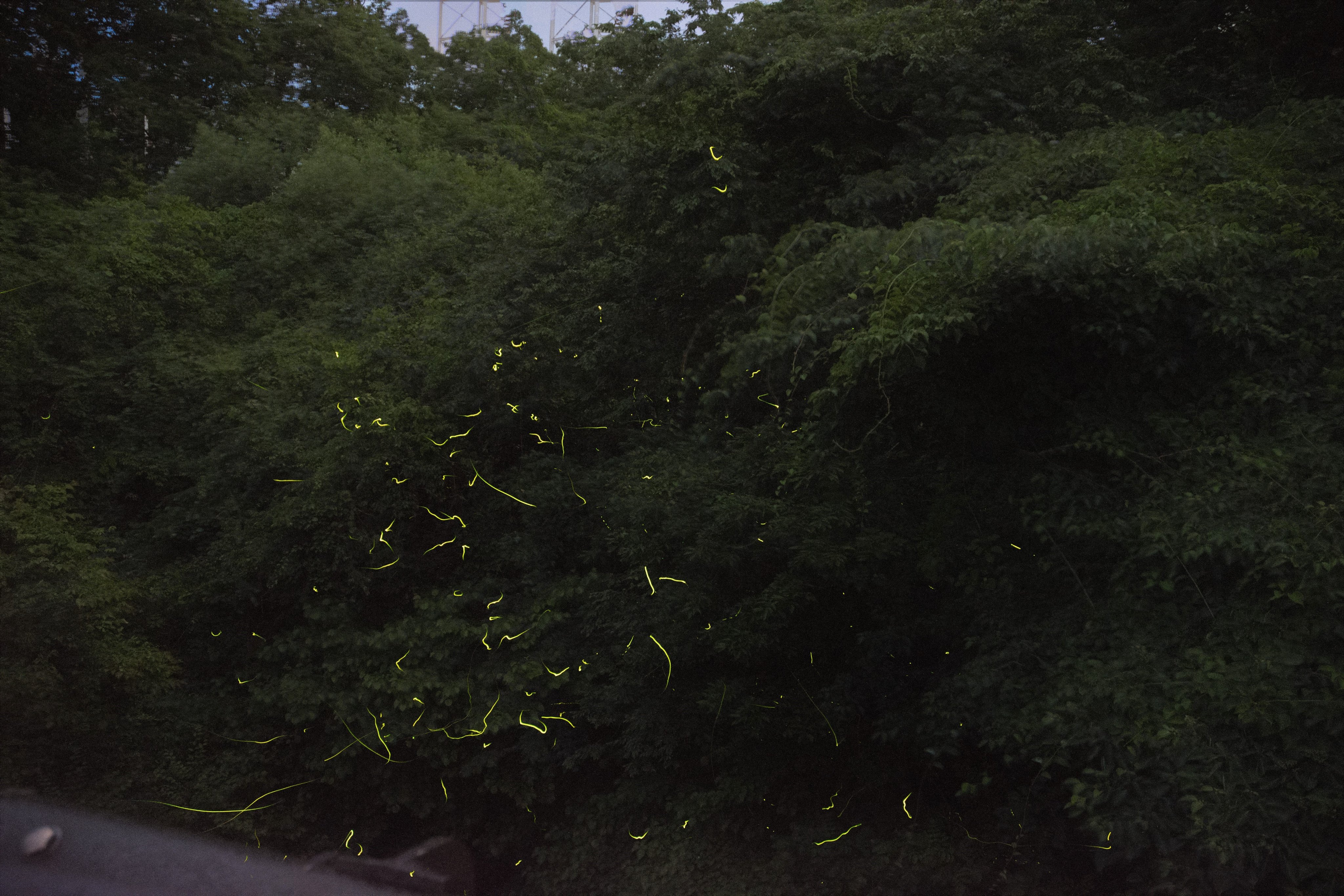 那須 喜楽庵 Wdwtnosnfn3cjqz Twitter