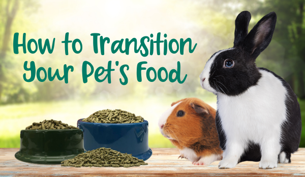 What’s the best way to transition your pet’s food? Learn more at okt.to/0JSGHb