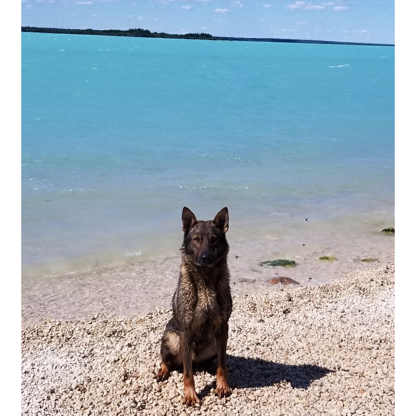 RCMP Manitoba tweet media