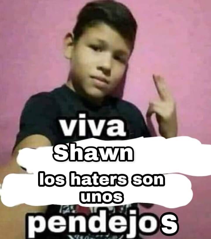 solo me queda decir #weloveyoushawn #shawn