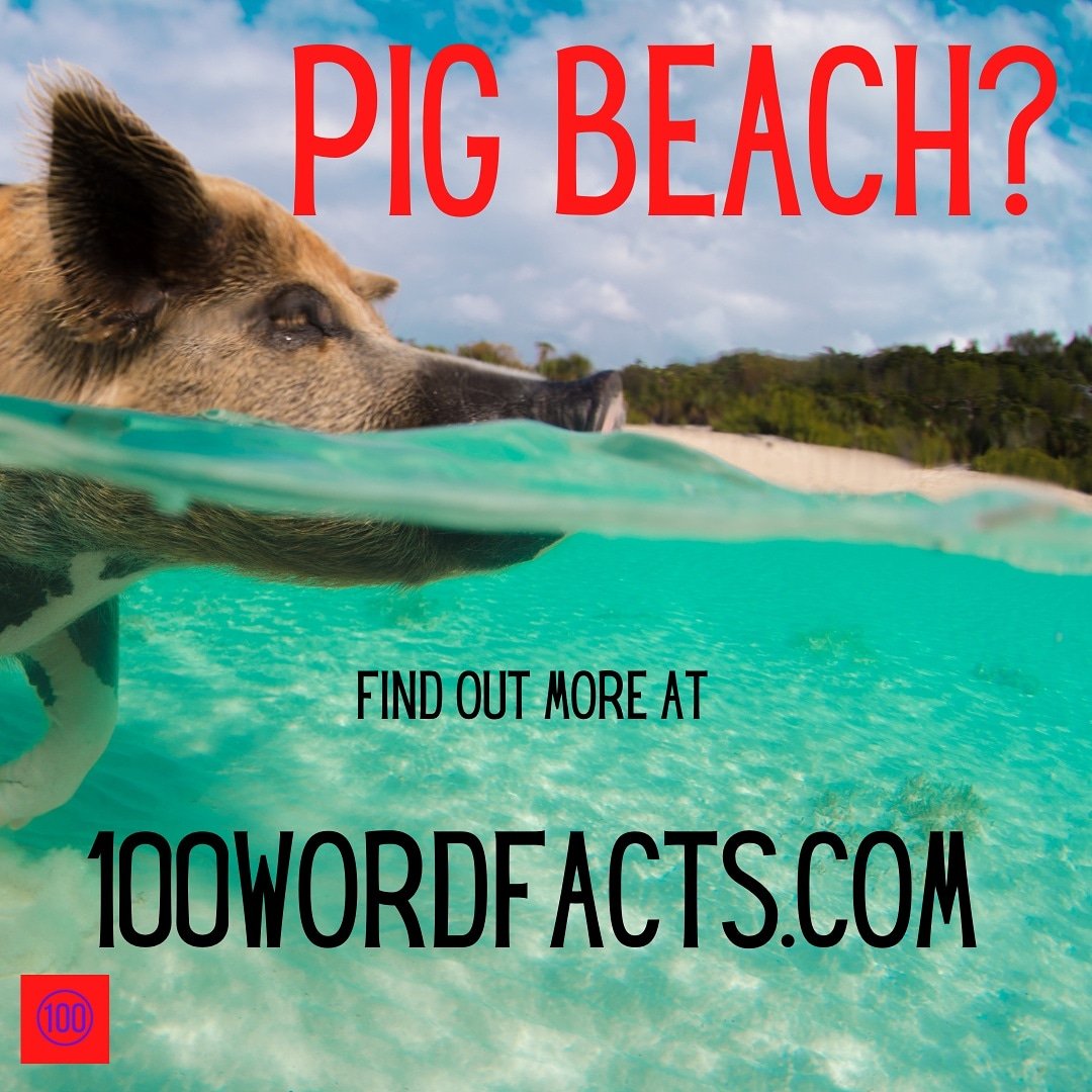 CopyWritesCopy1's tweet image. 100wordfacts.com/f/theres-an-is…