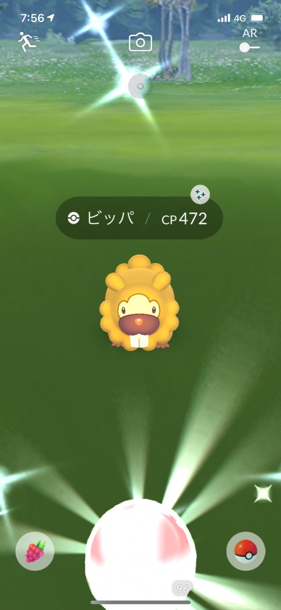 ビーダル Twitter Search