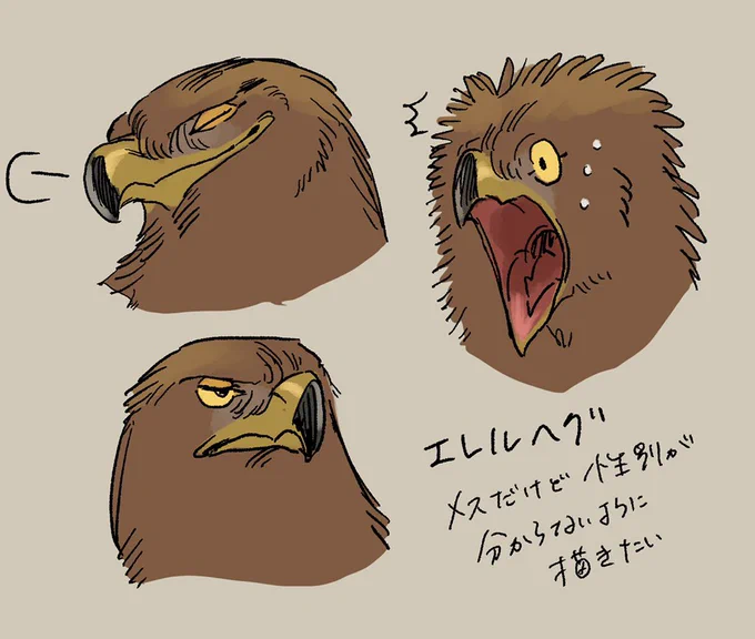 神獣たちはシ〇ガミ様とか王〇蟲ポジの生き物だけどエレルヘグはジ〇とかテ〇みたいないつも主人公の肩とかに乗ってる小さいマスコットポジ
 #乾坤の鷲 