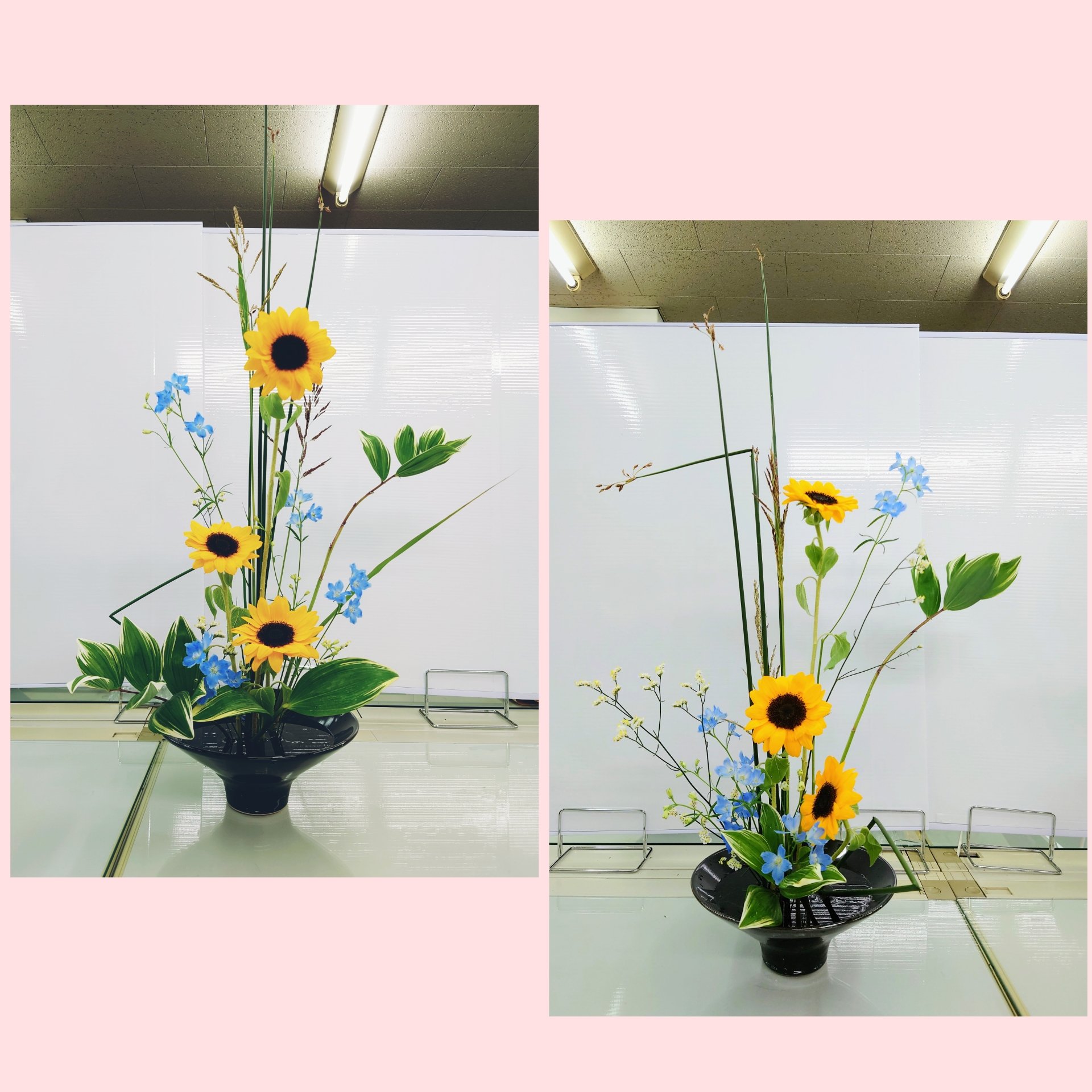 花緑 Karoku 昨日の生徒さんの作品 夏らしい作品となりました ヒマワリは元気を貰えますね 池坊 いけばな 華道 自由花 いけばな教室 いけばな教室大阪 いけばな教室あびこ いけばな教室花緑 花のある暮らし フトイ ヒマワリ デルフィニウム 花緑 Karoku 昨日の生徒さんの作品 夏らしい作品となりました ヒマワリは元気を貰えますね 池坊 いけばな 華道 自由花 いけばな教室 いけばな教室大阪 いけばな教室あびこ いけばな教室花緑 花のある暮らし フトイ ヒマワリ デルフィニウム