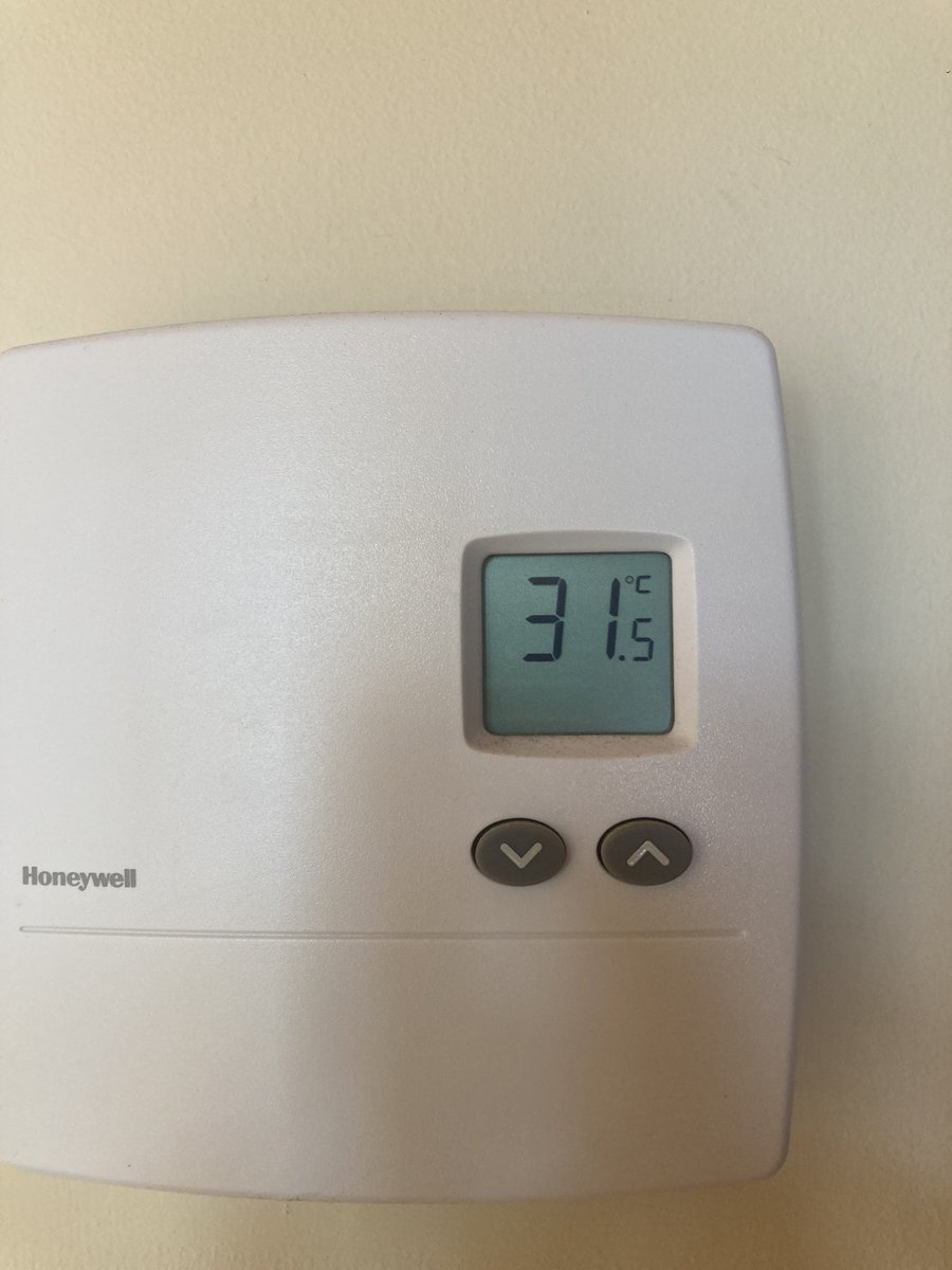 Melinda Lee tweet media