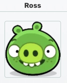 FerroTheGreat's tweet photo. #rosstwt bad piggies is based https://t.co/jpsF3u527D