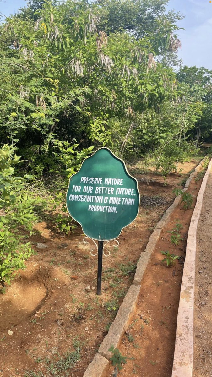 sudhaanya's tweet photo. Better safe than sorry! 🌎💛

#environment #Sustainable #nature #conserve #earth #ClimateCrisis #SaveBuxwahaForest #6MonthsOfFarmersProtest #agriculture #farming #Sudhānya https://t.co/sNdqUTZEva