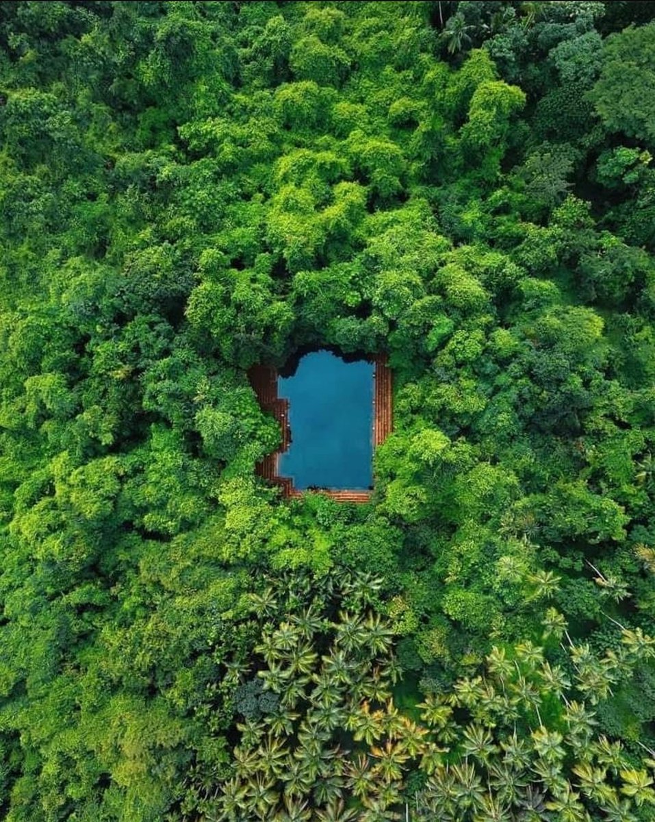 AnuSatheesh5's tweet photo. Muchukunnu Kottayil Shiva Temple
is situated in Moodadi panchayat in #Kozhikode district, #Kerala. Temple is located amidst a thick forest, which has traditional architecture, and a beautiful stepwell. 
#incredibleindia 
#DekhoApnaDesh https://t.co/zQ6IayIRVl