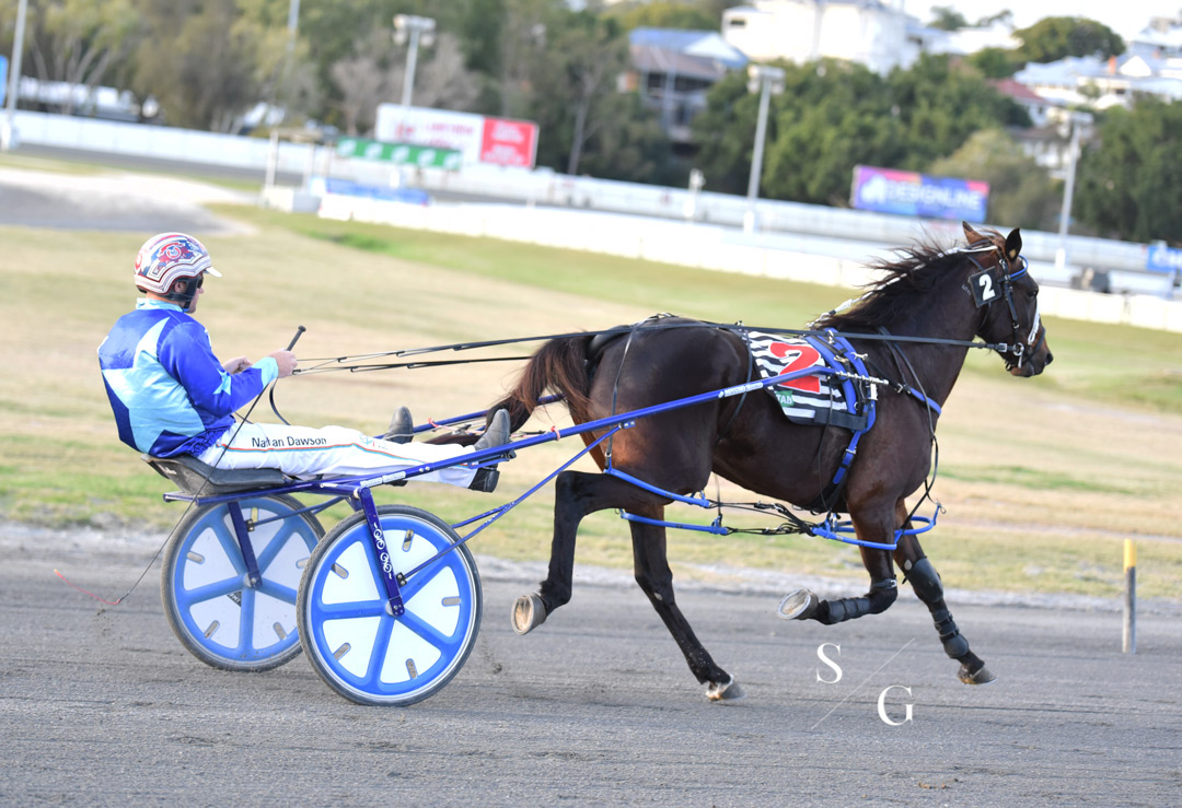 photographybysg's tweet photo. Black Hawk Joes takes out race 6 at Albion Park

Trainer - @alchin_rickie 
Driver - Nathan Dawson

Congratulations to all involved! https://t.co/jRBSqVH7mj