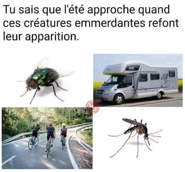 pierre_guidez's tweet photo. https://t.co/sHNl0YIqCj