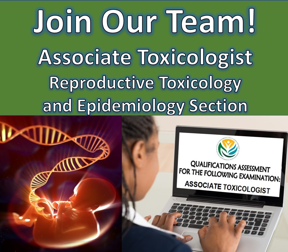 OEHHA's tweet photo. Know an #earlycareer #scientist with experience in #developmentaltoxicology or #reproductivetoxicology? Our #ReproTox section is hiring an Assoc. #Toxicologist! Qualifying exam @ https://t.co/5sr9lZz7PM. Job posted @ https://t.co/NCIhisQZyQ (OAK) &amp; https://t.co/TVq9DCxvVj (SAC) https://t.co/vmpXIOfPAG