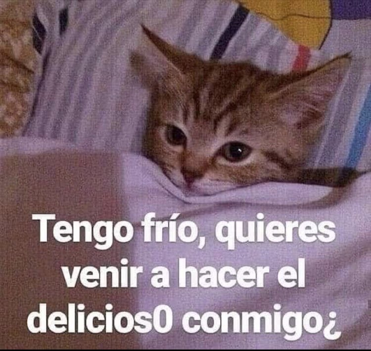 ♟ (@brianbutelli) on Twitter photo 