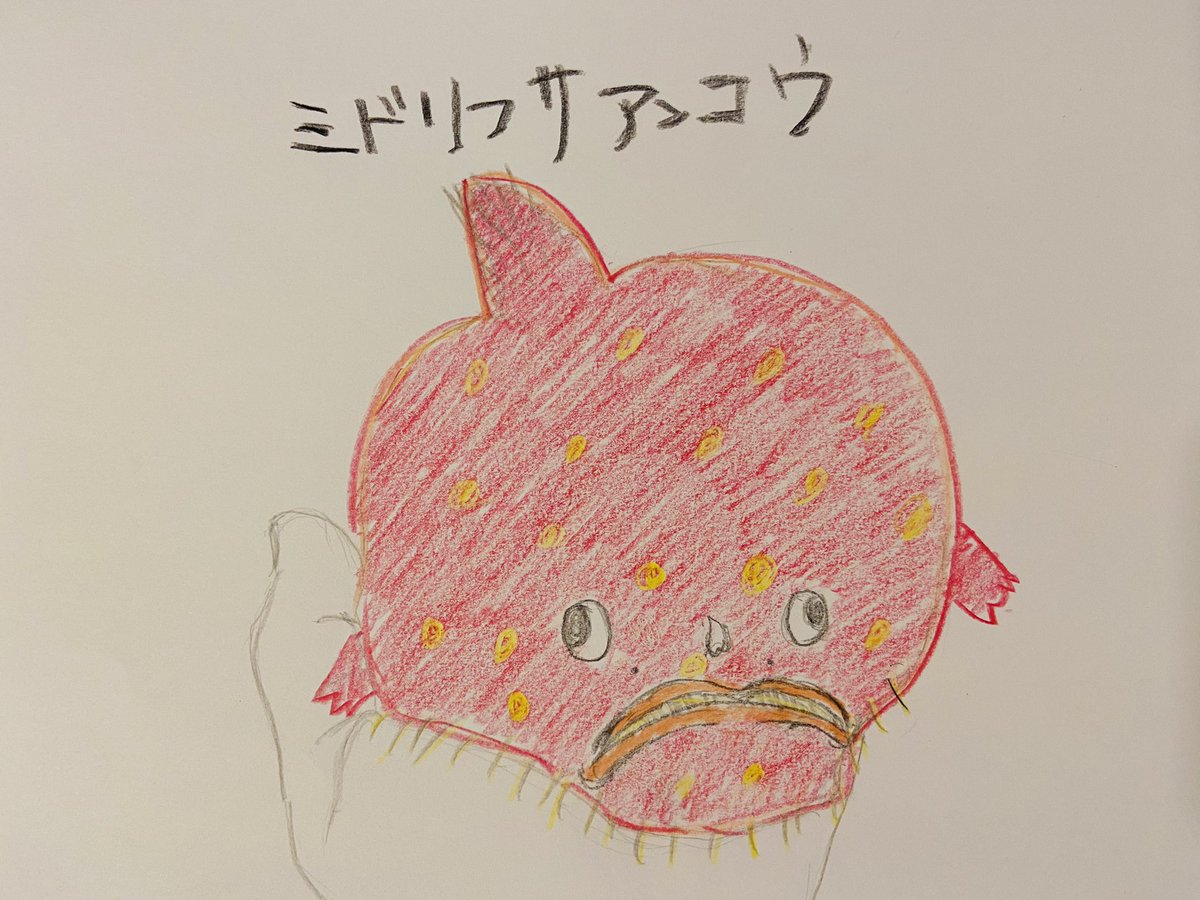 Top Tweets For 一日一魚 Instalker Top Tweets For 一日一魚 Instalker