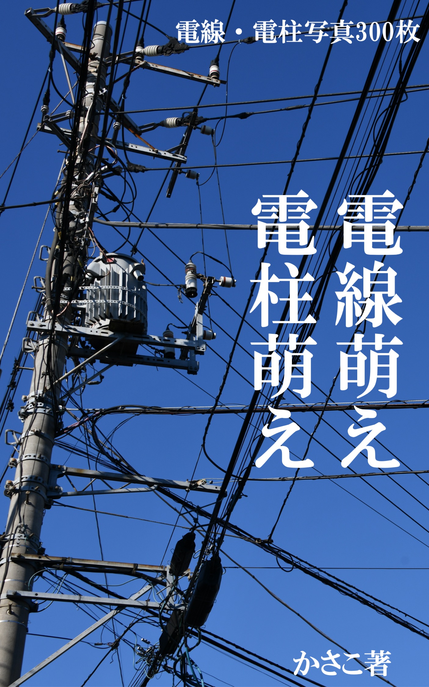 背景資料写真家かさこ 無料画像毎日投稿 ついに出ました 電線 電柱が好きすぎて 電線電柱写真300枚の背景資料集 T Co 2p1w28wdxy 購入者には写真データ送付 トレス 加工ok ぜひご活用ください 写真一覧 T Co 8nu28xwuma 絵描き