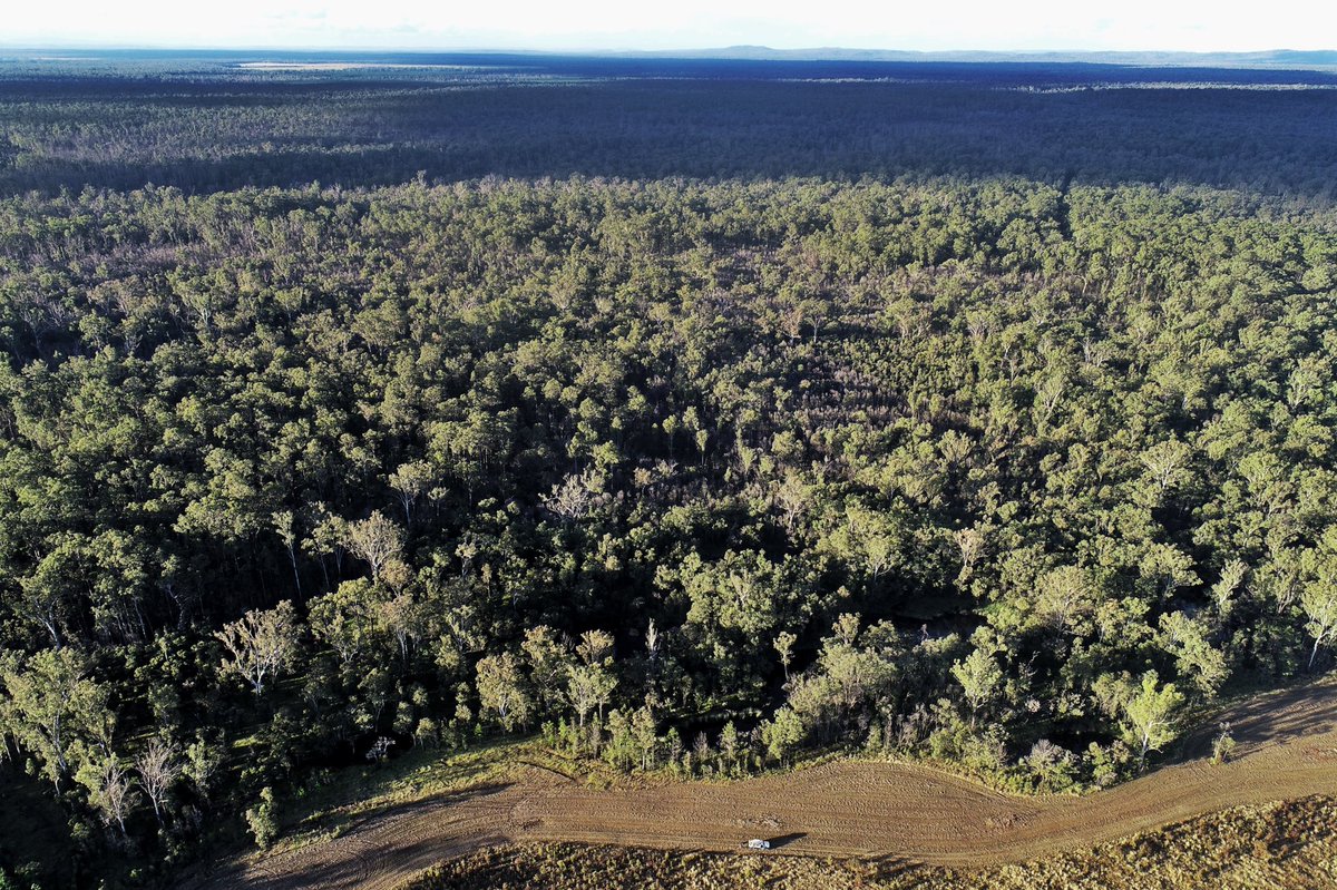 Some more potential sites on Bundjalung Country for investigating the role of #culturalburning in mitigating against catastrophic #bushfires in southeast Australia @theotheroad @nuckip