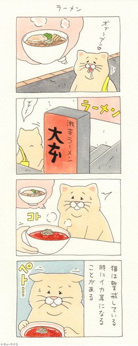 ネコノヒー を含むマンガ一覧 いいね順 5ページ ツイコミ 仮