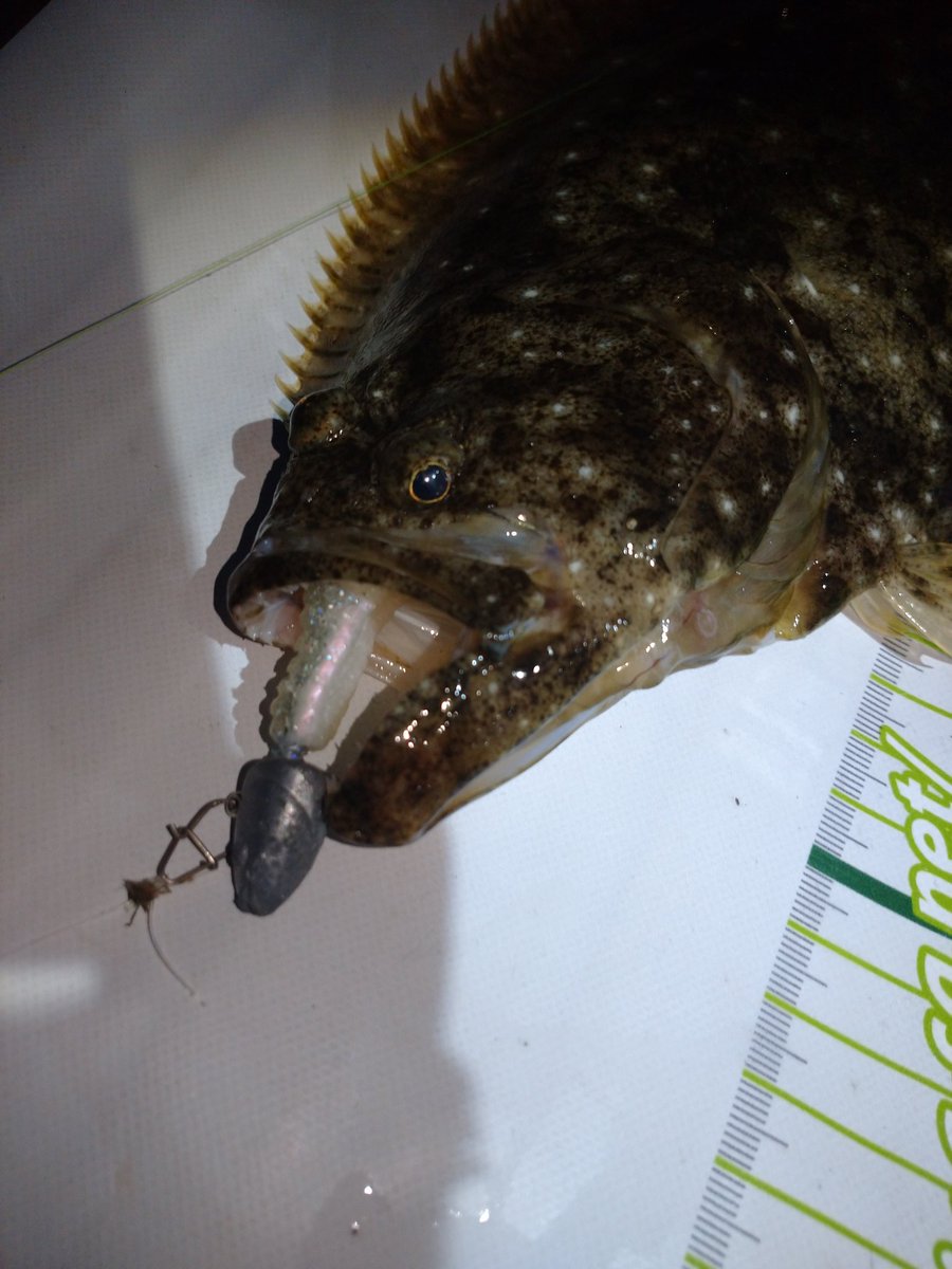 スタッガーオリジナル