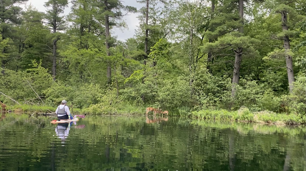 Family vacation 🥰🌊🌿🍦🍕🚣🏻‍♀️ No work phone. No computer. No multitasking. No schedule. Just love and nature and togetherness and gratitude.