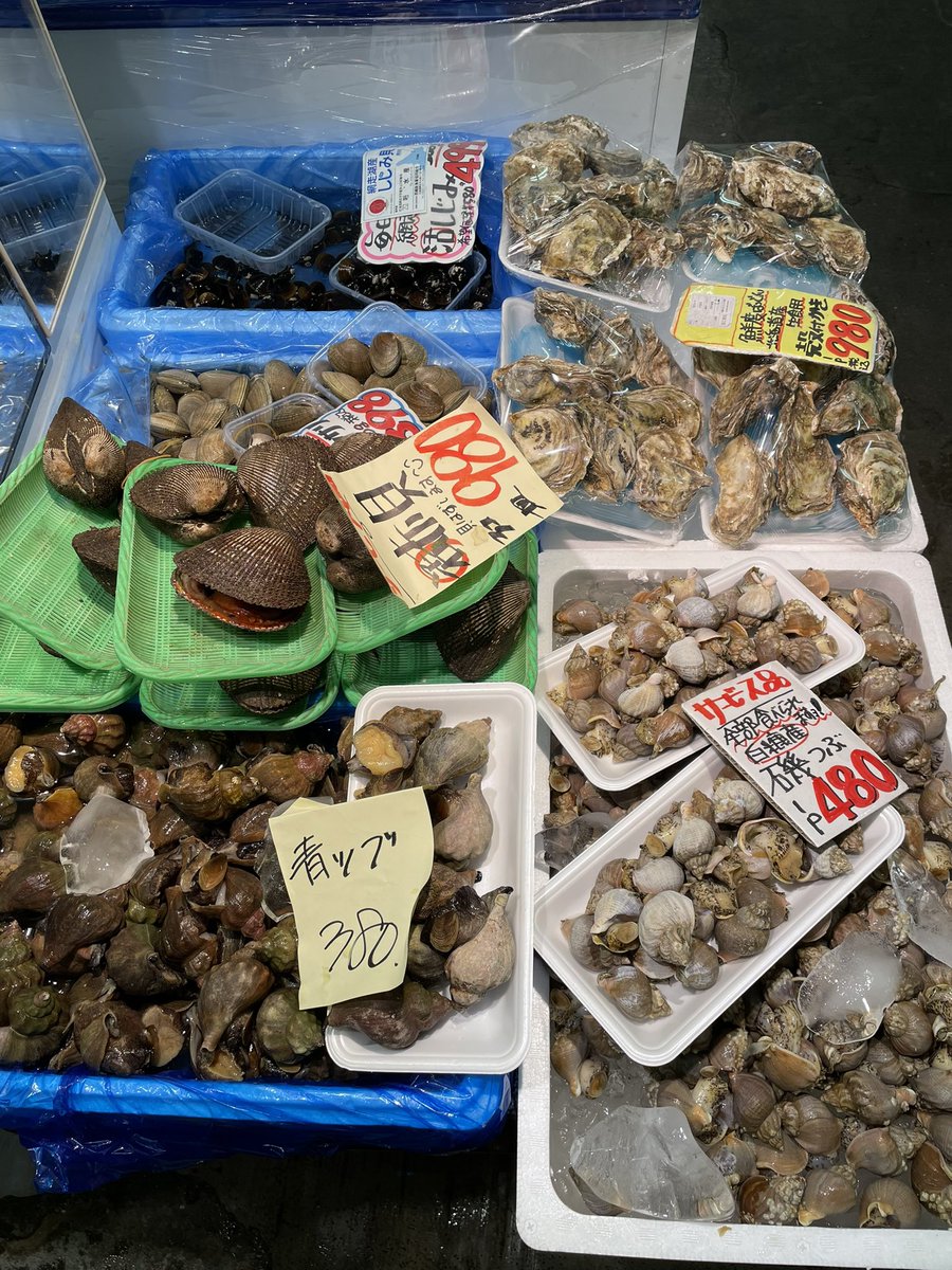 今日入荷の貝類、干し魚です。
沢山買ってきました😳
ロシア産の赤貝もあります、国産ではないのですが、とても大きく身が厚くで美味しいですよ😀
やっぱり生は風味が違います👌
＃共栄市場 #ことに ＃干し魚 ＃赤貝