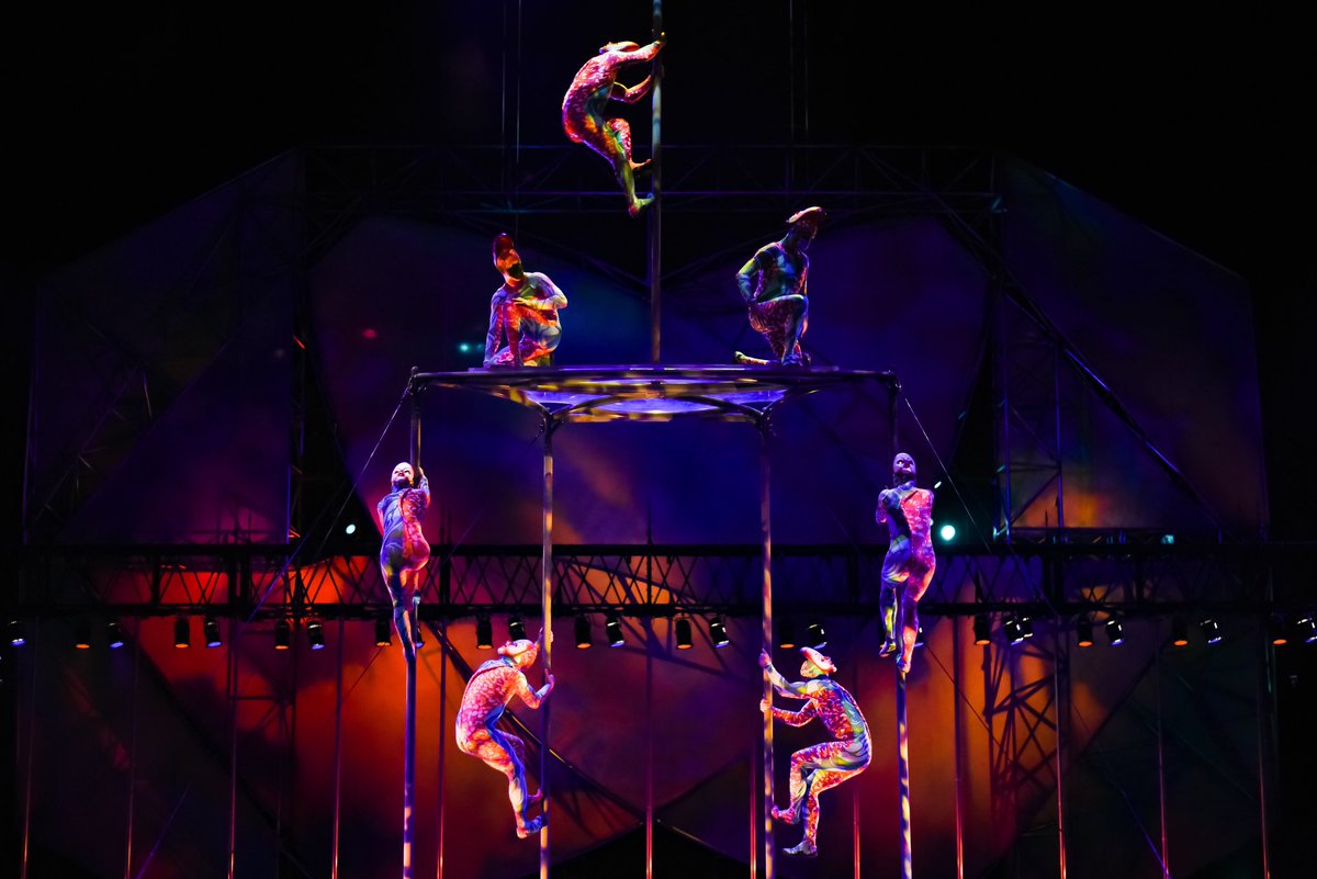 Cirque's tweet photo. Can you name a more beautiful sight? We’ll wait. #Mystere #IntermissionIsOver 📸 @proteeins https://t.co/NC6wDJG8cV