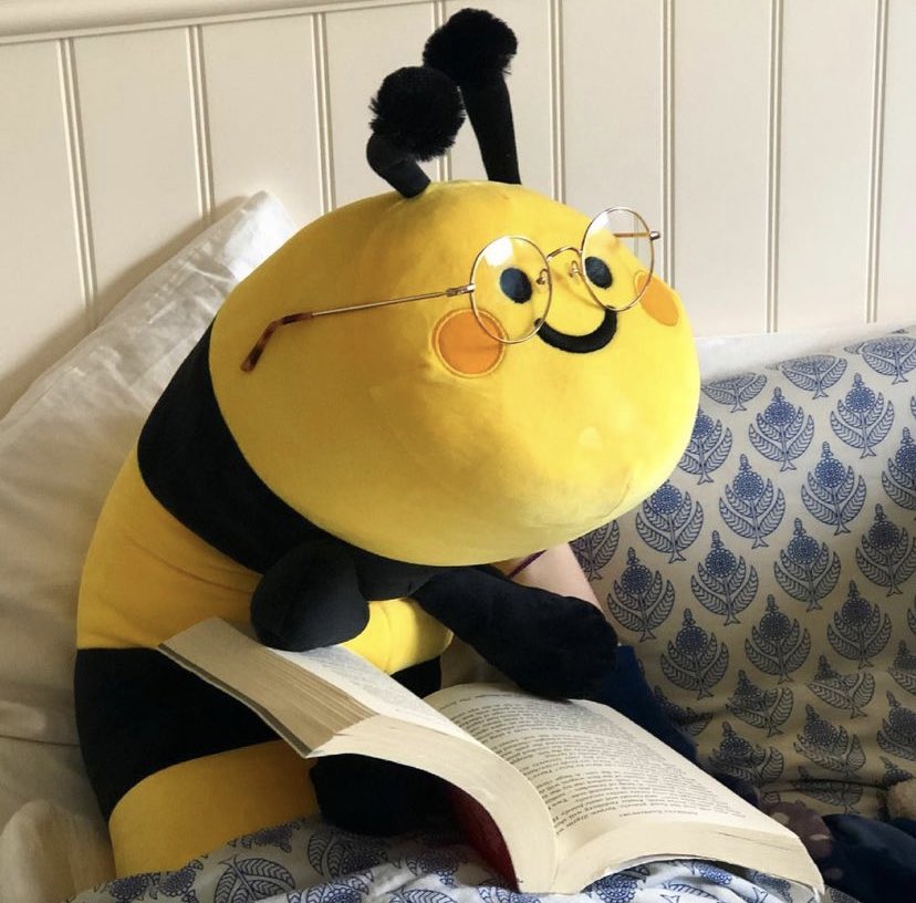 liliuhms's tweet photo. good evening from reading long bee https://t.co/EDVtuF3nXH