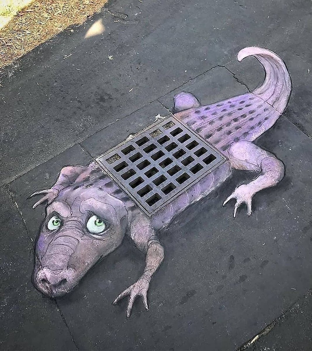 luxurysdreams's tweet image. 